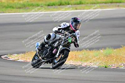 media/Apr-13-2024-Classic Track Day (Sat) [[9dd147332a]]/Group 3/Session 3 (Turn 3)/